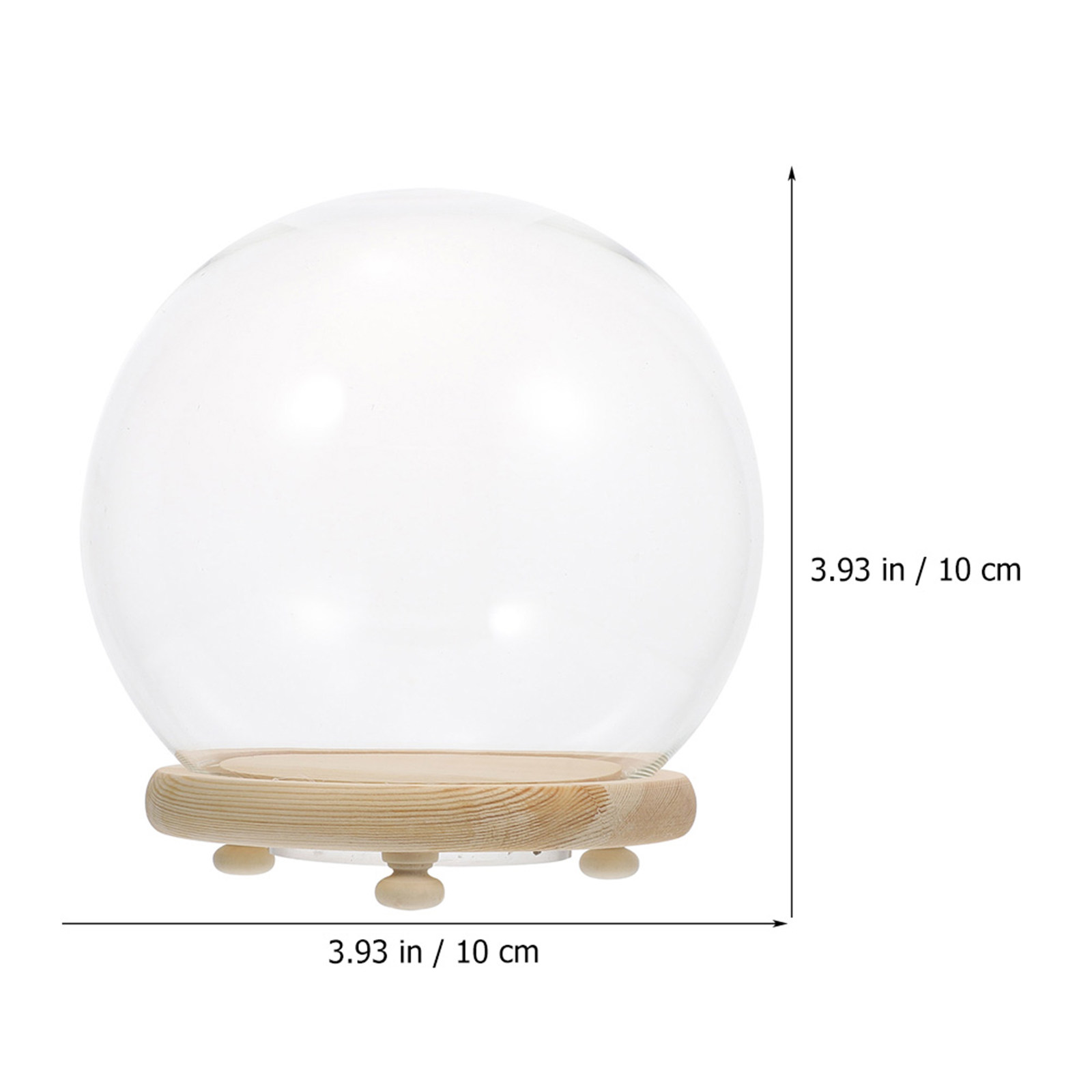 Glasvitrine mit Holzsockel für – Plastic Dome Clear Bewertung und Preis