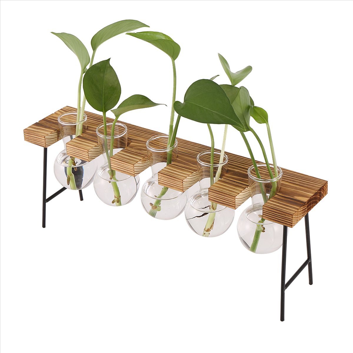 ABFS Anzuchtstationen Desktop- – Propagation Station Vase Bewertung und Preis