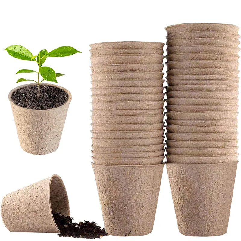 50 Stück Runde Garten-Torfäche – Peat Pellet Tray Bewertung und Preis