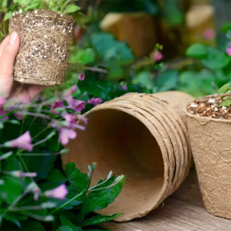 50 Stück Runde Garten-Torfäche – Peat Pellet Tray Bewertung und Preis