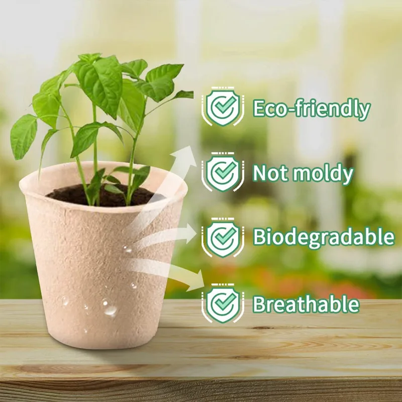50 Stück Runde Garten-Torfäche – Peat Pellet Tray Bewertung und Preis
