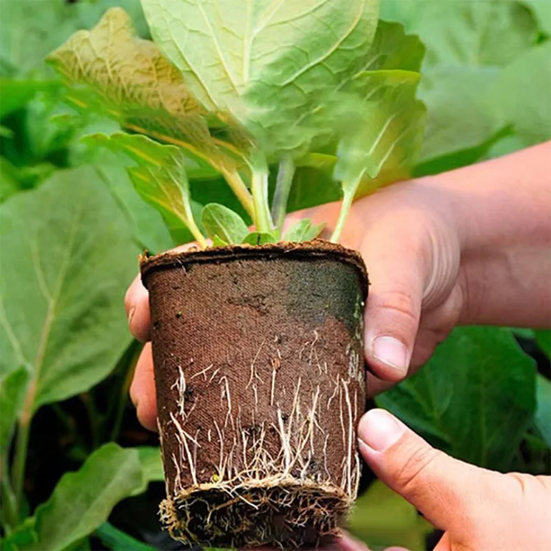 50 Stück Runde Garten-Torfäche – Peat Pellet Tray Bewertung und Preis